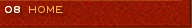 Home Button